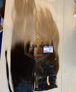 Vietnam Hair Extensions - Bulk Hair🎖️ ElsaHair Company 44 Clip in - Ponytail Hair