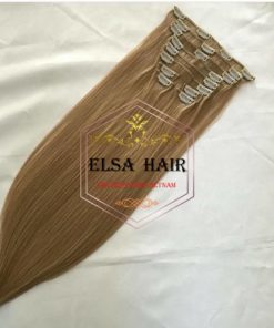 Clip In Hair Extensions 11 Clip In Hair Extensions 10