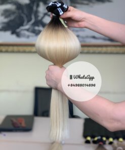 Vietnam Hair Extensions - Bulk Hair🎖️ ElsaHair Company 37 Weft Hair - Ombre #1B / Pla White (Top 10cm)